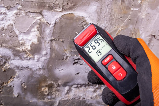 Best Black Mold Remediation in Hines, OR