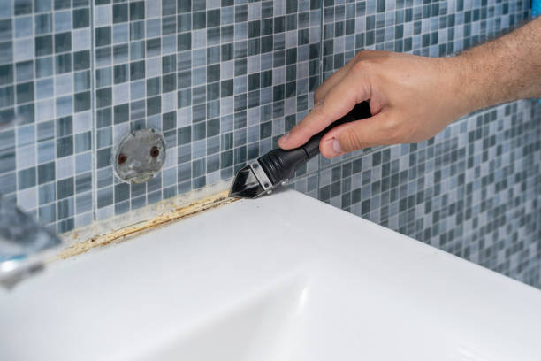 Trusted Hines, OR Mold Remediation Experts
