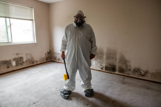 Best Mold Remediation for Specific Building Types in Hines, OR
